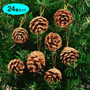 NX}X I[igZbg 24 NX}Xc[  I[ig Zbg k  NX}XI[ig CeA i`CeA CeAG