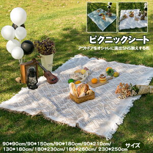 �B�e�ɂ҂����� ���W���[�V�[�g �s�N�j�b�N�V�[�g �e�[�u���N���X ������� �f����B�e�� �k�������W���[�V�[�g �܂肽���� �C���e���A ���� �^���� �L�����v�V�[�g �A�E�g�h�A �􂦂� ��