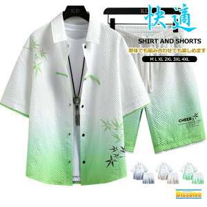 Vc ㉺Zbg Y  Of[V JWAVc V[gpc ZbgAbv  W[W ㉺ [EFA `Ci LC JWA Yt@bV