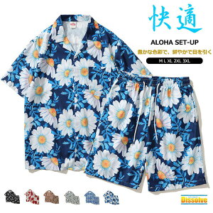 AnVc ㉺Zbg Y   W[W fB[X ZbgAbv fB[X WjA ㉺ ԕVc Vc V[gpc  s W[ e[}p[eB[ C 