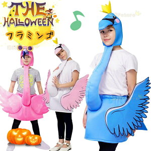 nEB ߑ q  t~S RXv  RX`[ w WjA ΂̒nEB ߑ q   nEB I[C j̎q ̎q  p[eB