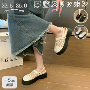 Xb| EGbW\[ C T_ ~[ Xbp Xb| ƂȂ fB[X Cq[ I[vgD q[5cm ₷ ɂ r JWA 