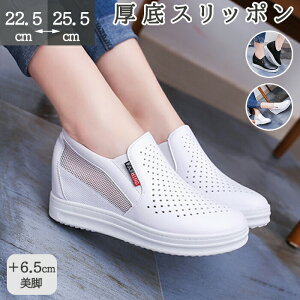 Xb| EGbW\[ C T_ ~[ Xbp Xb| ƂȂ fB[X Cq[ I[vgD q[6.5cm ₷ ɂ r JWA 