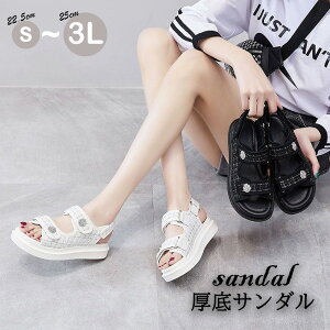 T_ fB[X  cC[h ₷ xN ~ t   ɂ Xj[J[ y Vv y ₷ RtH[g ɂȂ X|[cT_  