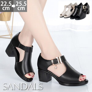 T_ fB[X XgbvT_  [q[ rWlX ʋ d s r ₷ 22.5cm-25.5cm v Vv l p Sn  GKg ubN O