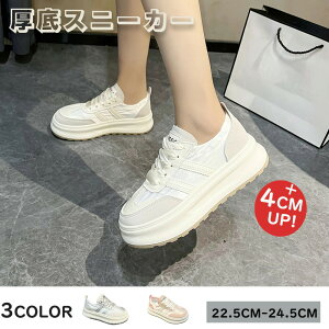  fB[X Xj[J[ ꂢ Xb| rW[ y C s o@ʊw IV ₷ C EH[LOV[Y ʋ g[jOV[Y Vv ʋC 