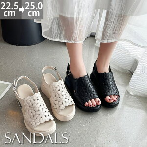 T_ EFbW\[ fB[X XgbvT_  rWlX ʋ d s r ₷ 22.5cm-25cm v Vv l p Sn  GKg x[W u