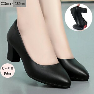 pvX ItBXV[Y Xgb` tbg y ItBX C fB[X pW[ pansy w  tH[} d q[ ̓ Mtg 22.5-26.0cm  ʋ K  h 