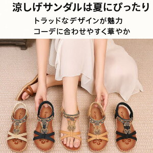 fB[X T_  2.5cm TXgbv rW[t Soh NbV ₷ ؂񂱃T_  JWA  傫TCY 22.5`26.5cm ؂ T_ 