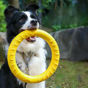 3_Zbg   tXr[ O ւ ^ ^ g[jOp ϋv ݂ v ɂ y VёΉ EVAf ^s ނ ybgpACe