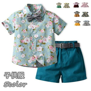 q ̎q j̎q 2_Zbg Vc{V[gpc LbY q AnVc Vc  nC ԕs[X ʕ hbg ԕ  ZbgAbv Tybg s[X