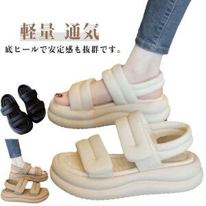 T_ fB[X T_ }WbNe[v r _炩NbV V[Y h y ʋC  ₷  T_ ̎q  ʋ ʊw r[`T_ s JW