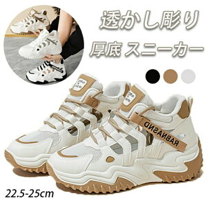 TCY   Xj[J[ v fB[X [XAbv nCJbg +5cmg  bV ~ vbgtH[ ʋ ʊw EH[LO JWAV[Y v