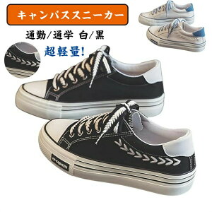 fB[X LoXXj[J[  gAbv y ʋC h RۖhL Xj[J[ fB[X [XAbv [gbvV[Y  JWA ʋ/ʊw / ԕs