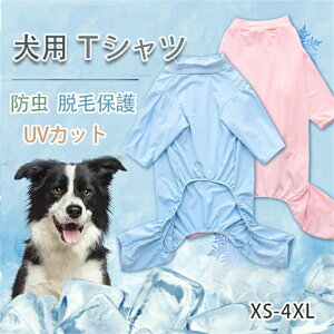  t p[X Ȃ h Ђ hbOEFA ^Ngbv ʋC p TVc ₩ UVJbg Ăh Eѕی ^