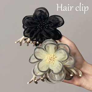 oXNbv 傫 wANbv ̉ RT[W wANbv n[tAbv NbvoX wAANZT[ ܂Ƃߔ ނ   ꂢ Zj[ wAAb