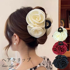 oXNbv 傫 wANbv ԃRT[W wANbv n[tAbv NbvoX wAANZT[ ܂Ƃߔ ނ   ꂢ Zj[ wAAbv w