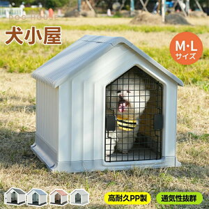 yM/LTCY z O ^ hAt ybgnEX ybgP[W vX`bN   O ybgQ[W IV {unEX ybgnEX ybgT[N L M