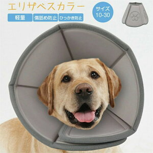 GUxXJ[ L  GUxX pi r Hp  rߖh~ \tg ӂӂ p LObY ObY 炩  y p ی r ~  h~  EFA yb