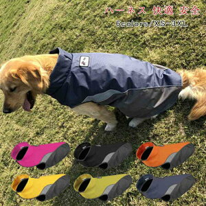  t  t   ̕ ybg p hbOEFA @ H~@IVƉJ̓̂UyȂˁ@p Lp m Vv \bhJ[ ybgp CR