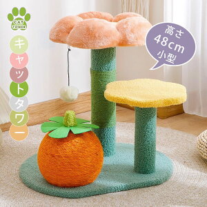 Lbg^[ ^ u^ L^[ ~j 48cm ^ ܂Ƃ W] ` t[ flower  L[g ^ qL VjA ^s L gݗ ݒu ȒP L ˂X ȃXy