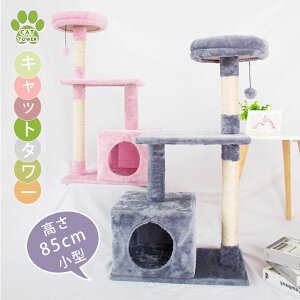 芴Q |ɂ Lbg^[ u ܂Ƃ  |[ 85/88cm ^ єɂ |₷ W]  qL VjA p ^s L gݗ ȒP qE 