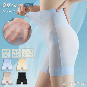 ň1900~` ɔ  V[X V[c pc fB[X ėp p ⊴  ڐG⊴ 傫TCY fB[X ė V[X K[hV[c nCEGXg  ␳