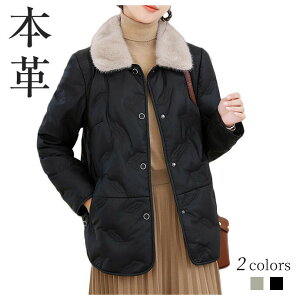 _ER[g fB[X U[R[g {v U[ rv _E R[g AE^[ V[g ~  g ~Nt@[ ӂӂ h h ʋ ʊw   WPbg 