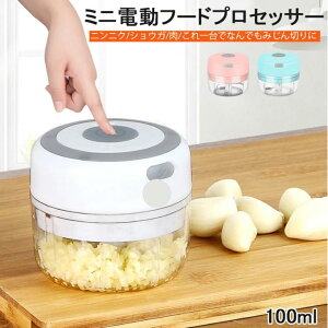 みじん切り器 電動 チョッパー フードプロセッサー 野菜カッター みじん切りカッター 電動みじん切り器 コードレス 離乳食 介護食 調理器具 調理道具 敬老の日 100ml 小型 USB充電式 丸洗いOK