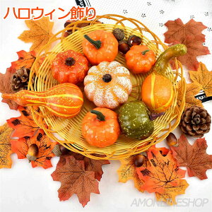 nEB ڂ Zbg 50Zbg nEB ~j ڂ UpvL ڂ ǂ񂮂 gt gݍ킹 nEBuZbg nEB Ӎ/nEB[/N