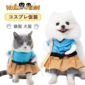  L RXv ybg RX`[ ^p Lp hbOEGA nEB[ ʔ  뉼 񑫕s  ϑ nEB NX}X p[eB[ ʐ^Be Cxgp