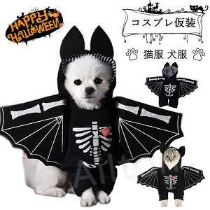 ybg RXv RX`[ RE ^p Lp hbOEGA nEB[ ʔ 킢 񑫕s  ϑ nEB NX}X p[eB[ ʐ^Be