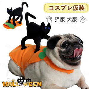  L RXv ybg RX`[ NlR ^p Lp hbOEGA nEB[ ʔ  뉼 ϑ nEB NX}X p[eB[ ʐ^Be Cxgp