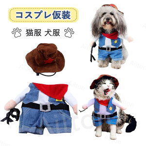 ybg RXv RX`[ L  hbOEGA nEB[ ʔ 킢  JE{[C Rm 񑫕s  ϑ ^ NX}X p[eB[ ʐ^Be