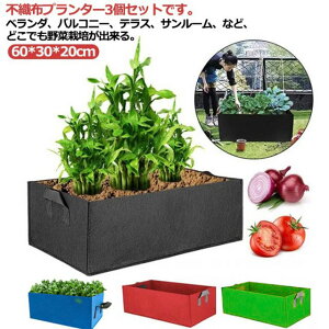 sDzv^[ sDz|bg ͔||bg 3Zbg tFgv^[ z ͔| tFg sDz|bg A Aؔ ړv^[ K[f ʋC A琬 ؍͔| diy ƒ