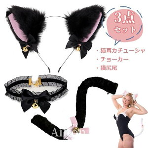 y3_ZbgzL J`[V ˂݂ J`[V lR~~ 3_Zbg q L̎ K  { t L RXv  w  nEB NX}X