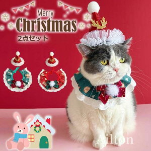 y2_ZbgzL  RXv NX}X giJC ybg }t[ T^X  ^ ^p Lp ʐ^ LOBe ybgpi v[g U Lp Xq+}t[