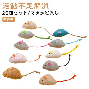 lV L ˂  L   Lp ^s lY~  ӂӂ lR 20Zbg/}^^r ˂ XgXU V L炵 f^gC ނ