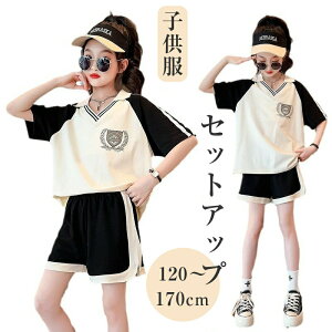 q ̎q ĕ ZbgAbv XEFbg 2_   VlbN TVc V[gpc ǂ ̑ WjA ㉺Zbg n[tpc X|[cEFA JWA  w 