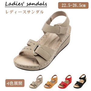  T_ fB[X y rgAbv ʋC ~ T_ fB[X EGbW\[ xN Xgbv JWA ItBX ʋ t 22.5-26.5cm