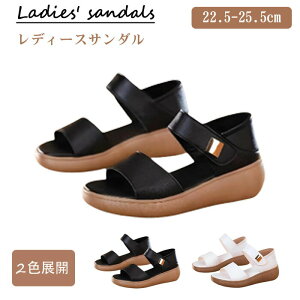  T_ fB[X ėp y ~ O䋸 T_ fB[X  ₷ ʋC K L r ItBX ʋ ʊw p 22.5-25.5cm