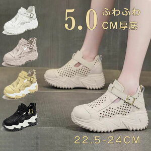  fB[XXj[J[  5.0cm _bhXj[J[ bV Vv JWAV[Y y _炩 ɂȂ  ʋ ʊw ig