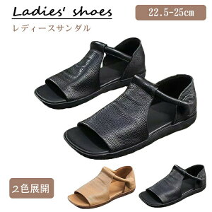  T_ fB[X ItBXT_ I[vgD y ʋC ~ L ₷ ₷ ɂ _炩ĉK  JWA  ʋ o 