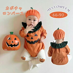 xr[ s[X 2_Zbg  p[X pc  Ԃ H pct jZbNX pW} Z ڂ V ʋC [EFA lGʗp _炩 t H ~