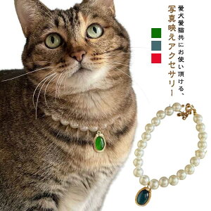 アクセサリー キラキラ おしゃれ 犬用 チョーカー パール風 ネックレス ラインストーン ペット用アクセサリー 首飾り ペット用 華やか 猫用 きれいめ 上品 高級感 可愛い かわいい ジュエリ