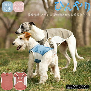 y h   L āz bV ^Ngbv ڐG⊴ h ^ L Ђ N[ N[EFA cool  ⊴ h 悯  ĕ ėp hbOEGA ̕ 