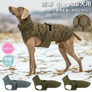   WPbg hbOEFA h  ̕ EFA nClbN Wp[ R[g ȓ LeBO {A ybgEFA ybgpi ^ ^ ^ ~ H~ 