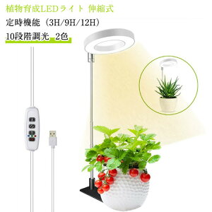 A琬Cg LED ^C}[ A琬LED ϗtA琬Cg 10Ki X^ht LEDv ͔|Cg ⑫ ƕs A𑣐i I/It ^C~O莞@\ 