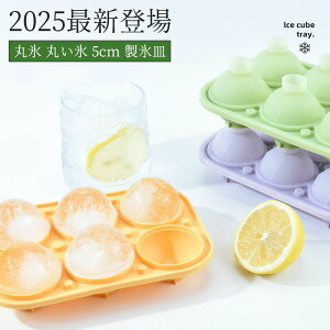 y2025ŐVozەX X 2Zbg ACX{[[J[ 傫X a 5cm XM X X X  ەX ی^X ەX[J[ ACXACX{[ VR Wt ECXL[ nC{