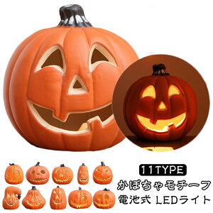 Cg ڂ  nEB Cg O Halloween nEB nEB ڂ ^ dr LEDCg   ڂჂ`[t J{`[hCg  q O w